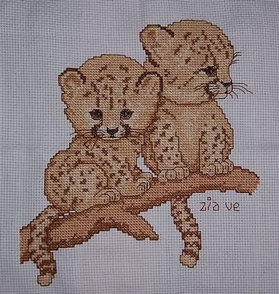 The cheetah