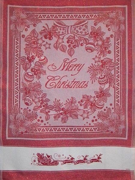 Strofinaccio la slitta di Babbo Natale